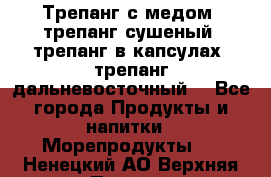 Трепанг с медом, трепанг сушеный, трепанг в капсулах, трепанг дальневосточный. - Все города Продукты и напитки » Морепродукты   . Ненецкий АО,Верхняя Пеша д.